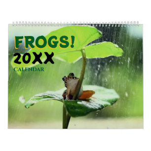 2025 Frogs in Nature Wall Calendar
