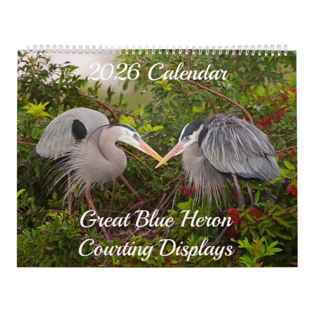2025 Great Blue Heron Courting Displays Calendar (Cover)