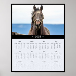2025 Horse Wall Calendar Poster