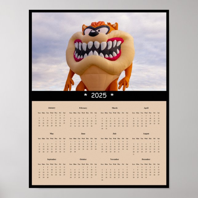 2025 Hot Air Balloon Wall Calendar Poster (Front)