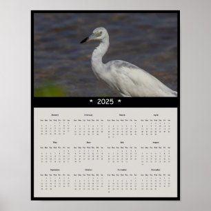 2025 Immature Heron Wall Calendar Poster