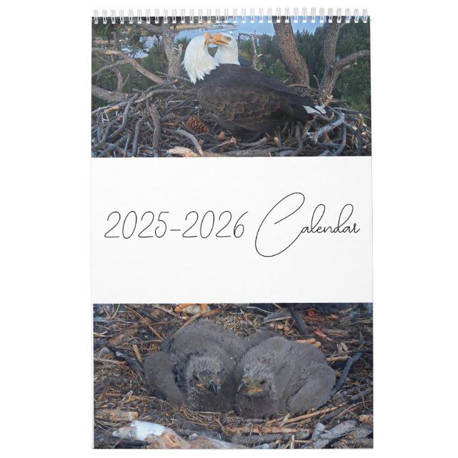 2025 Jackie & Shadow – Big Bear Eagles Calendar 2 (Cover)