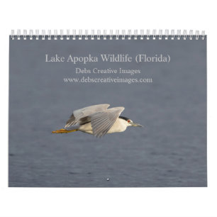 2025 Lake Apoka Wildlife in Florida Calendar