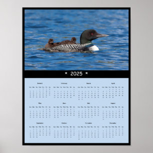2025 Loon Wall Calendar Poster