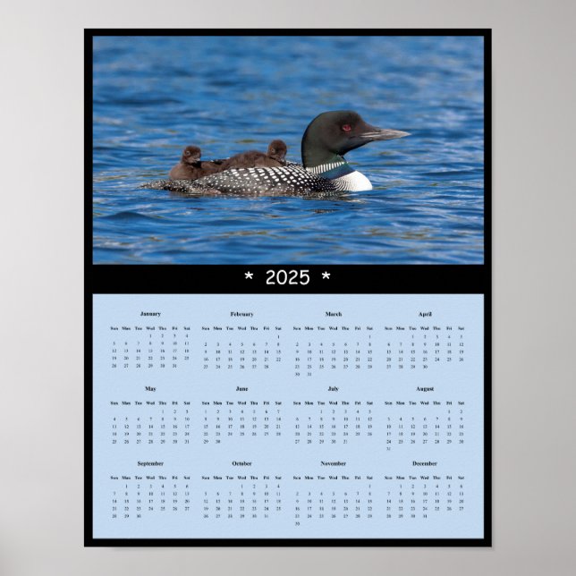 2025 Loon Wall Calendar Poster (Front)