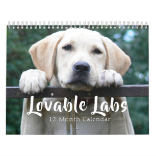 2025 Loveable Labrador Retriever Dog Calendar
