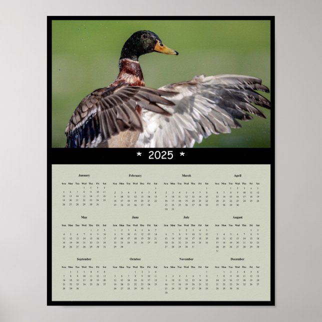 2025 Mallard Duck Wall Calendar Poster (Front)