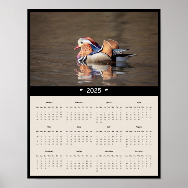 2025 Mandarin Duck Wall Calendar Poster (Front)