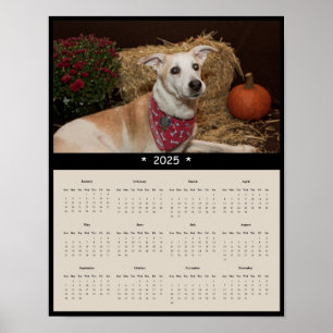 2025 Mixed Breed Dog Wall Calendar Poster