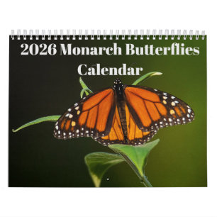 2025 Monarch Butterflies Calendar