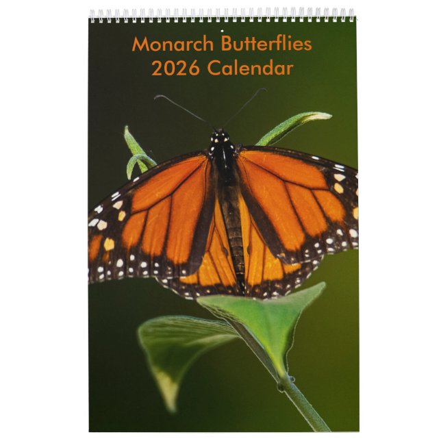 2025 Monarch Butterflies One Page Calendar (Cover)