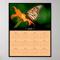 2025 Monarch Butterfly Wall Calendar Poster