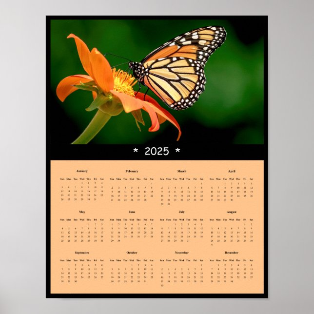 2025 Monarch Butterfly Wall Calendar Poster (Front)