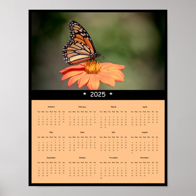 2025 Monarch Butterfly Wall Calendar Poster (Front)