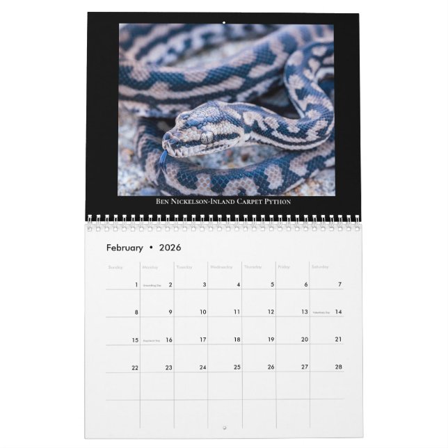 2025 Morelia Python Radio Calendar (Feb 2026)