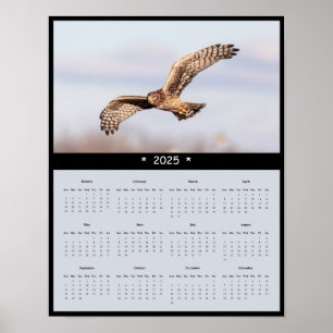 2025 Northern Harrier Hawk Wall Calendar Poster
