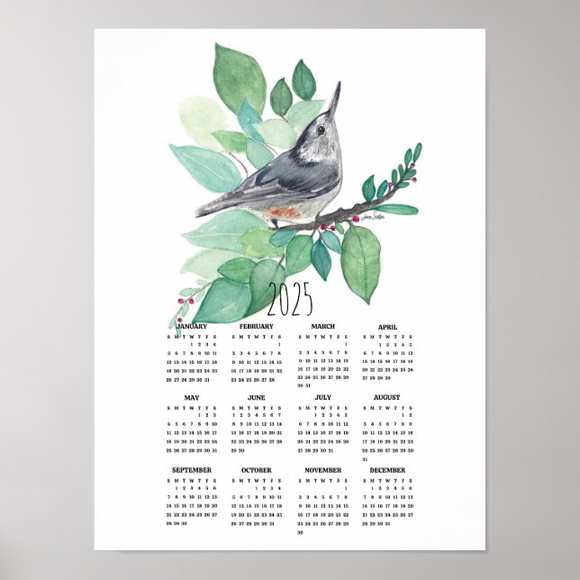 2025 Nuthatch On Branch Poster Calendar (Front)