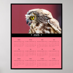 2025 Owl Wall Calendar Poster