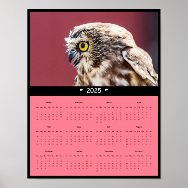 2025 Owl Wall Calendar Poster (Front)