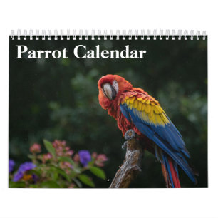 2025 Parrot Calendar 