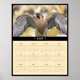 2025 Peregrine Falcon Calendar Poster
