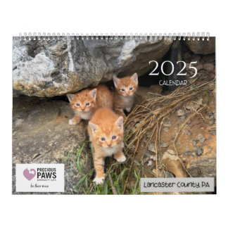 2025 Precious Paws Calendar