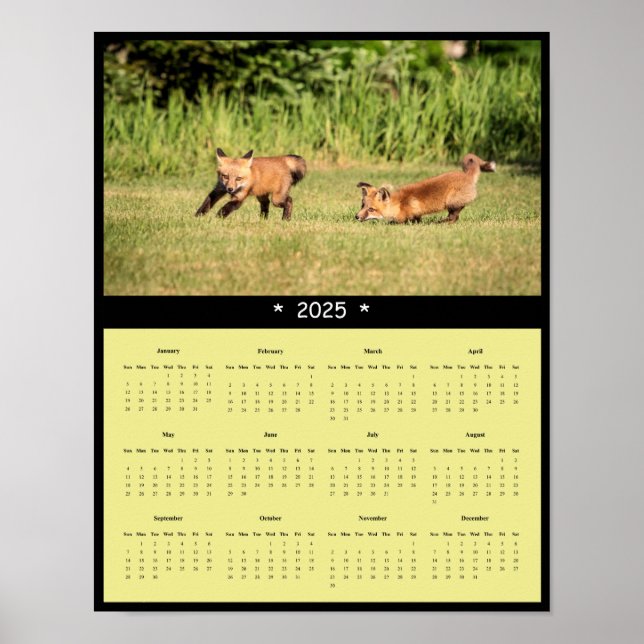 2025 Red Fox Kits Wall Calendar Poster (Front)