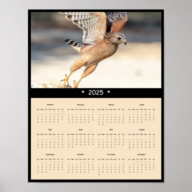 2025 Red Shouldered Hawk Wall Calendar Poster (Front)