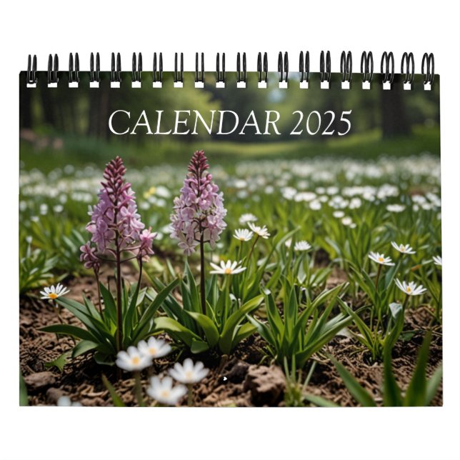 2025 Scenic Wall Calendar (Cover)