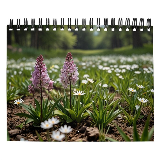 2025 Scenic Wall Calendar (Cover)