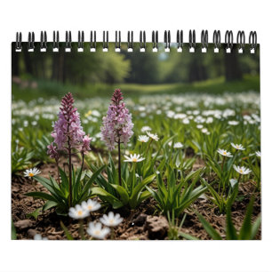 2025 Scenic Wall Calendar