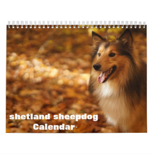 2025 Shetland Sheepdog Calendar