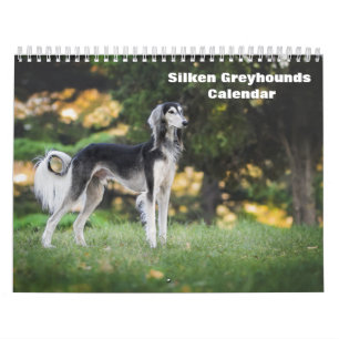 2025 Silken Greyhounds Puppies Calendar