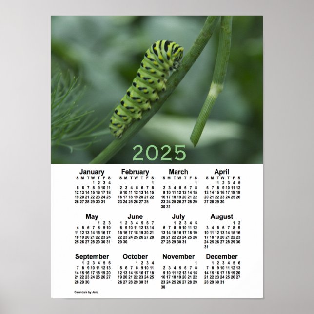 2025 Swallow Tail Caterpillar Calendar by Janz Poster (Front)