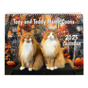 2025 Tony and Teddy Maine Coons Calendar