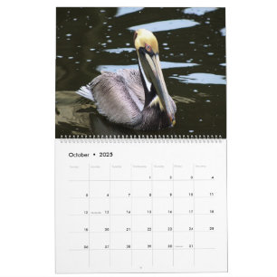 2025 Tropical Calendar, Beach Birds In Paradise  Calendar