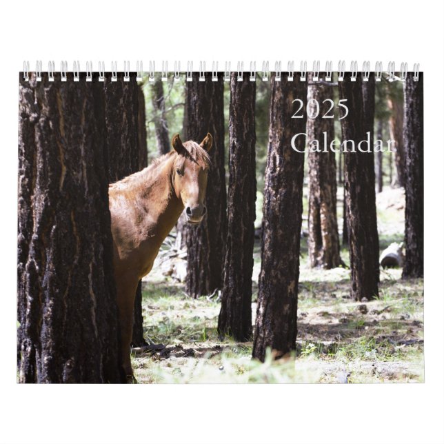 2025 Wild Horses Calendar To Support Twin Arrows (Cover)