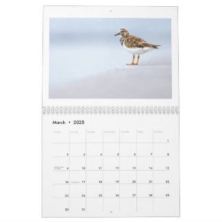 2025 Wildlife Photo Calendar