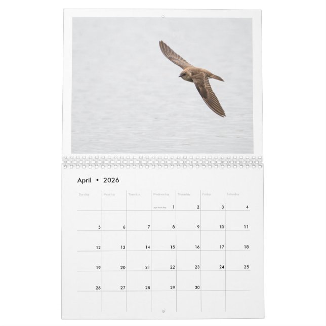 2025 Wildlife Photo Calendar (Apr 2026)