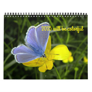 2025 will be colourful calendar