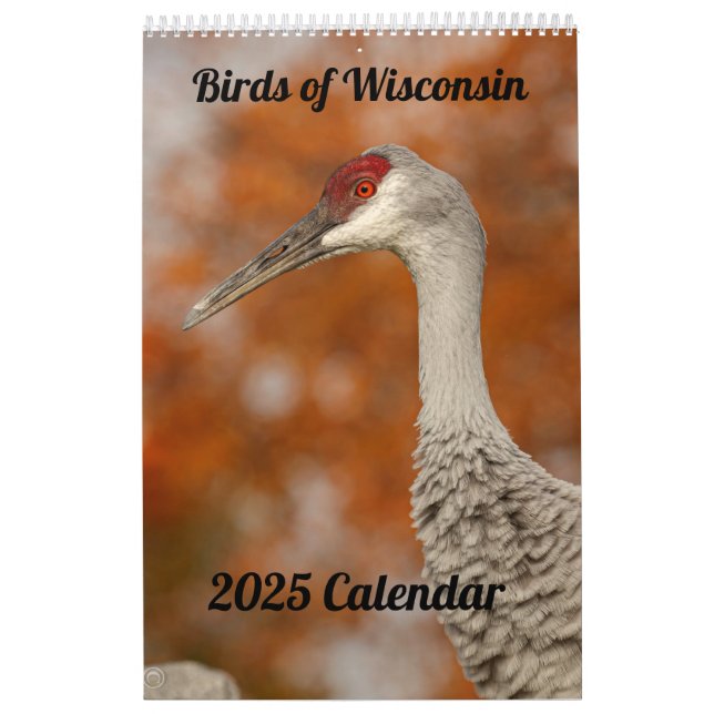 2025 Wisconsin Birds Calendar (Cover)