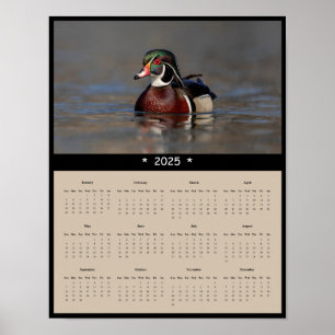 2025 Wood Duck Drake Wall Calendar Poster