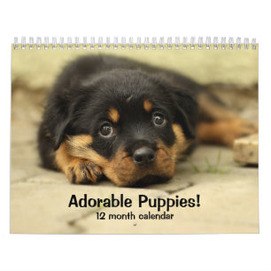 2026 Adorable Puppies Twelve Month Dog Calendar
