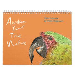 2026 Animal Art Calendar by Molly Magdalain