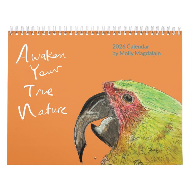 2026 Animal Art Calendar by Molly Magdalain (Cover)