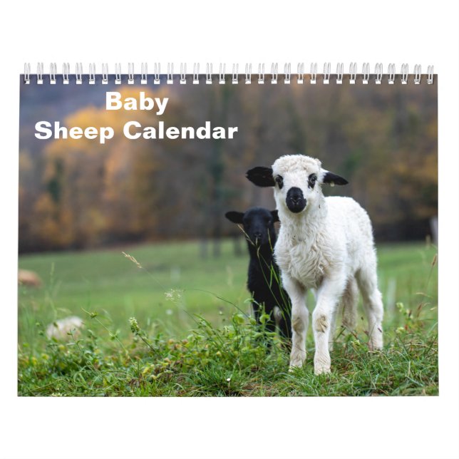 2026 Baby Sheep Lamb Calendar (Cover)