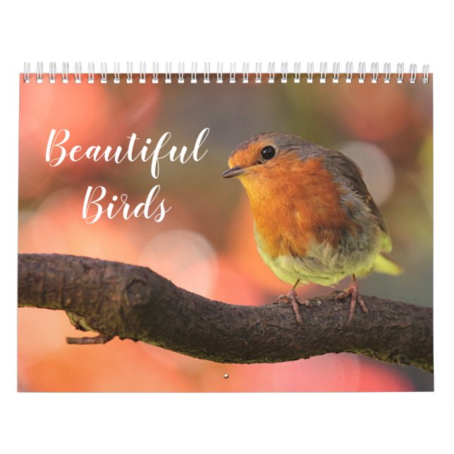2026 Beautiful Birds Calendar (Cover)