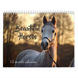 2026 Beautiful Horses Calendar