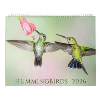 2026 Beautiful Hummingbird Photos Calendar