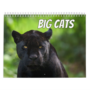 2026 Big Cat Calendar